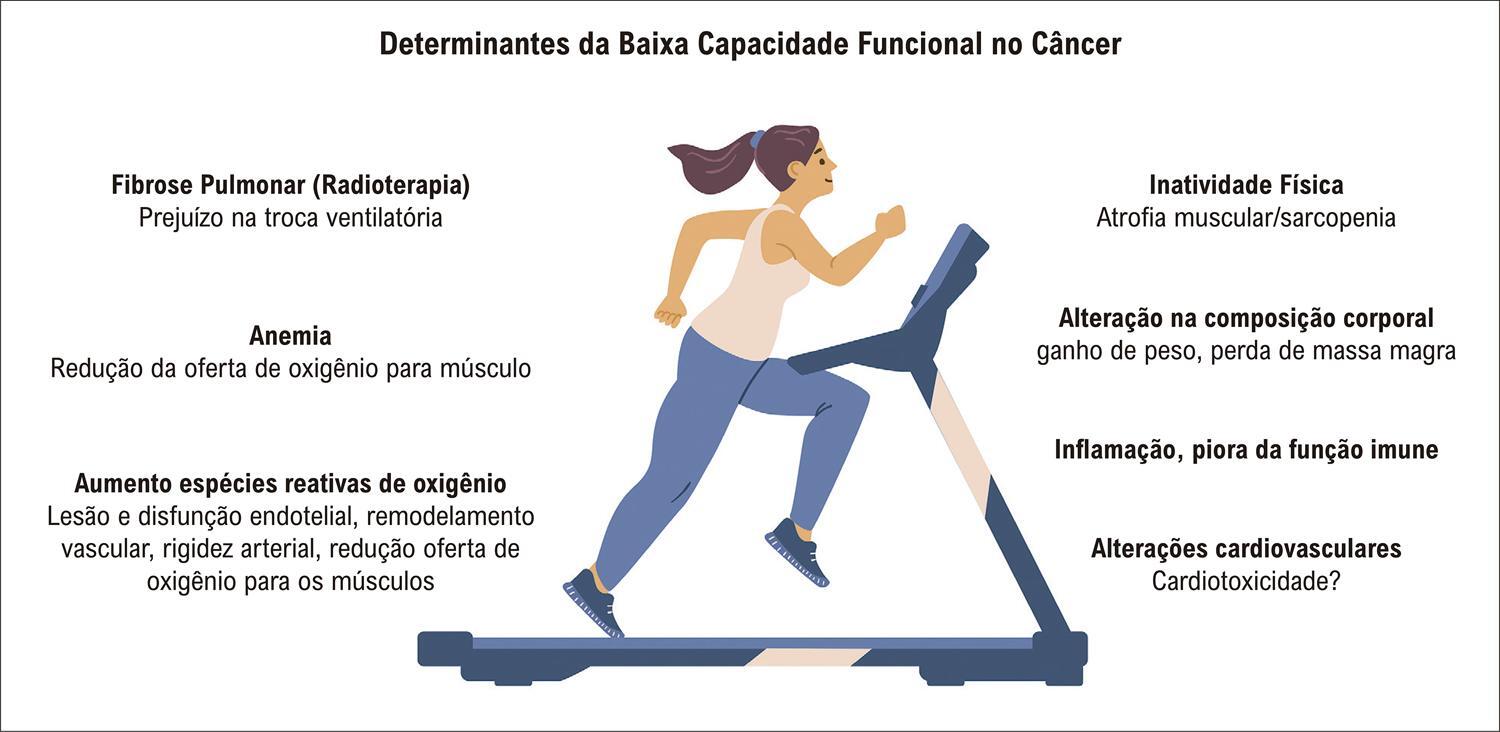 Figura 1