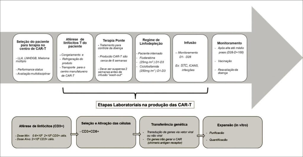 Figura 1