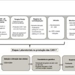 Figura 1