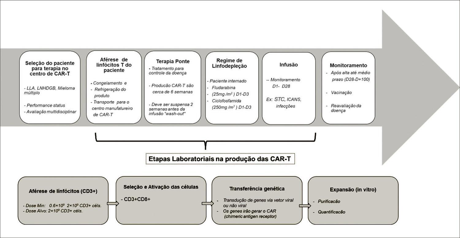 Figura 1