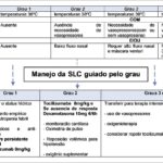 Figura 2