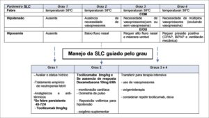 Figura 2