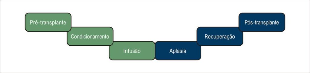 Figura 1