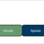 Figura 1
