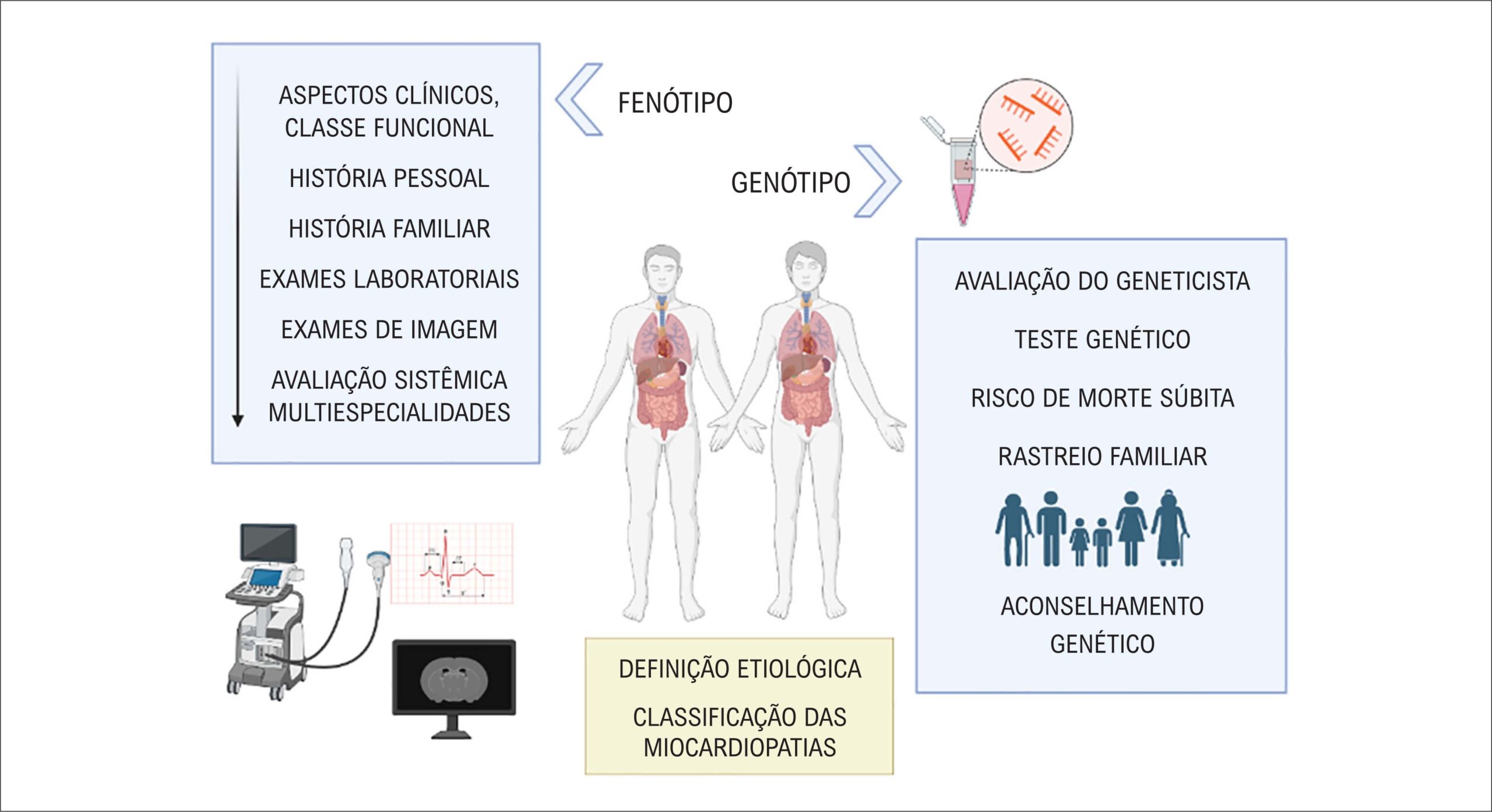 Figura 1