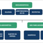Figura 3