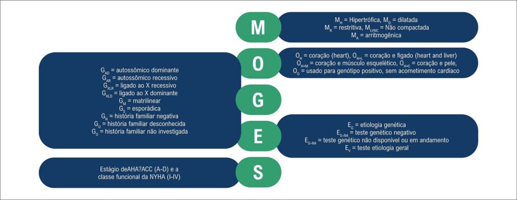 Figura 4