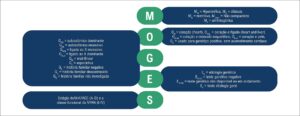 Figura 4