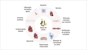 Figura 1