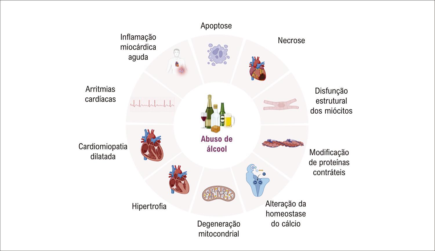 Figura 1