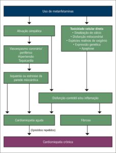 Figura 5