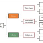 Figura 6