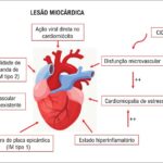 Figura 1