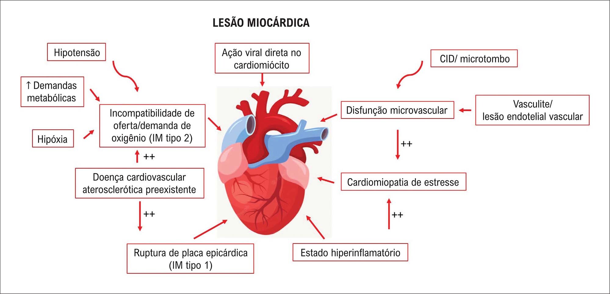 Figura 1