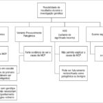 Figura 2