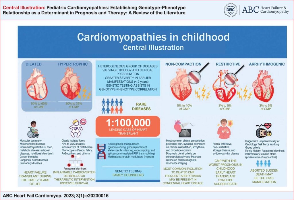 The main characteristics of each phenotype of pediatric cardiomyopathy. CMP: cardiomyopathy.
