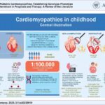 The main characteristics of each phenotype of pediatric cardiomyopathy. CMP: cardiomyopathy.