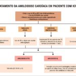 Figura 2