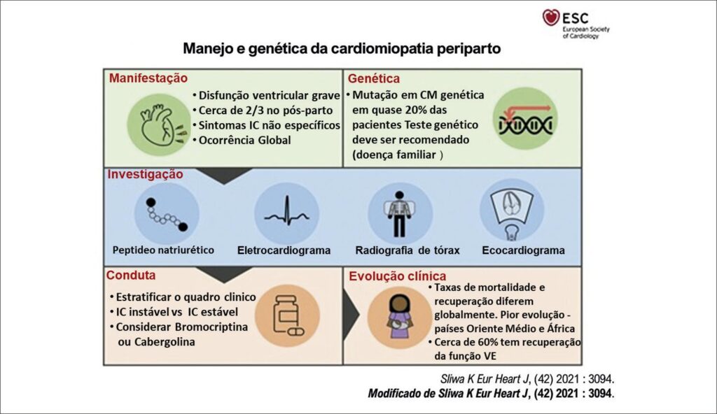 Figura 1