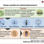 Figura 1