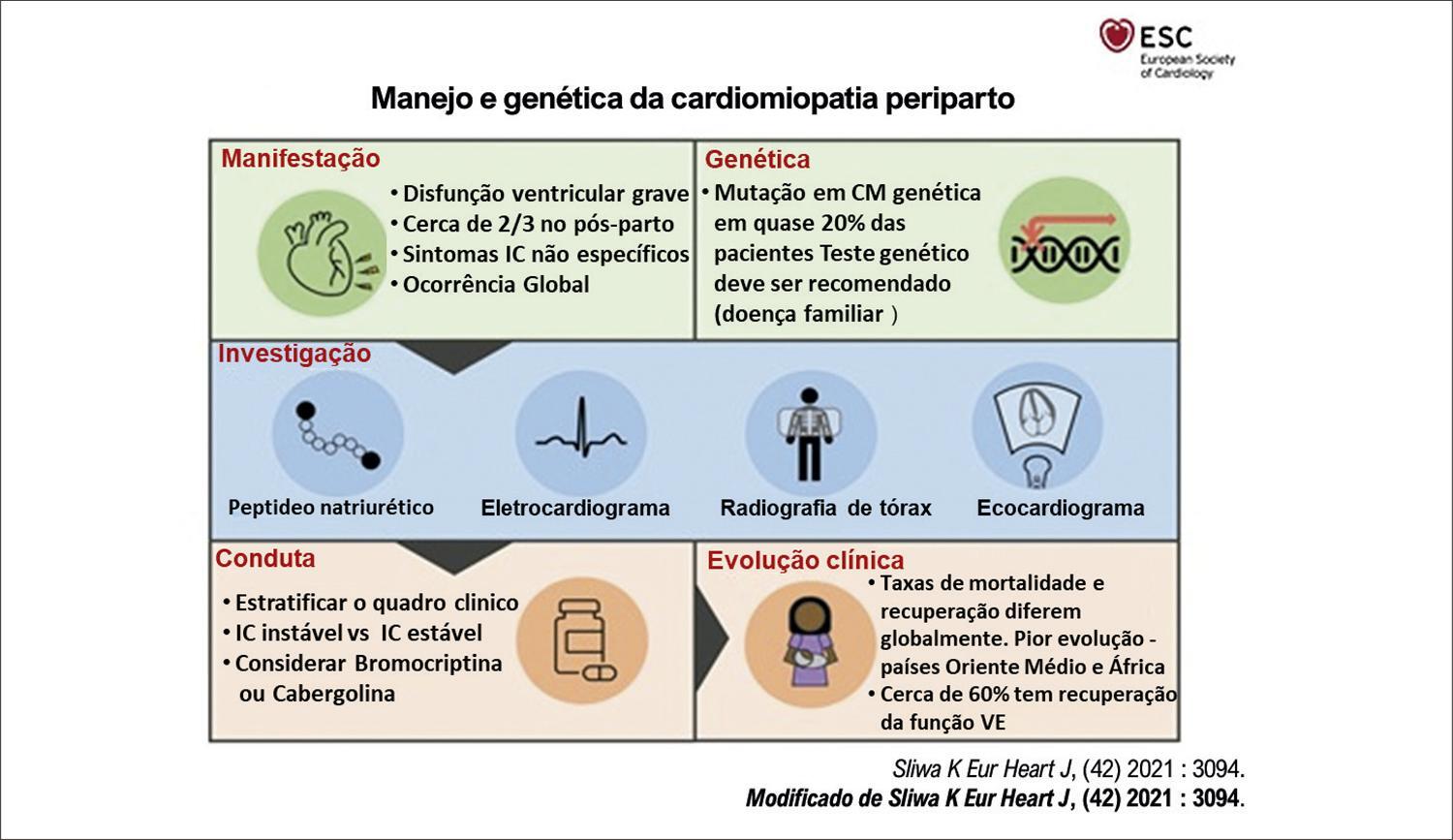 Figura 1