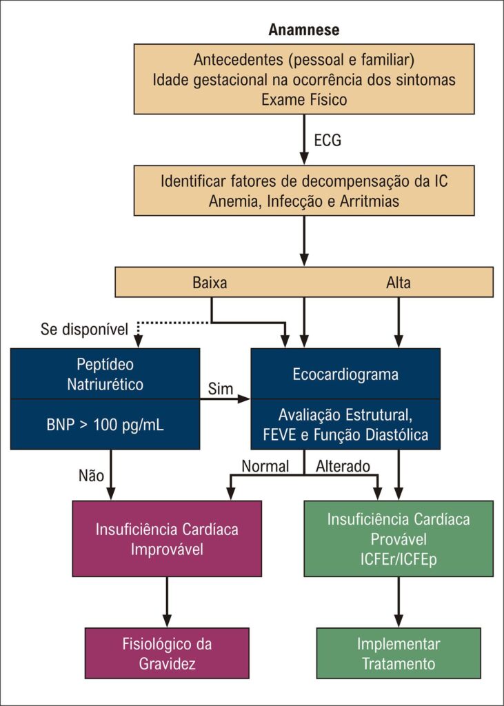 Figura 4