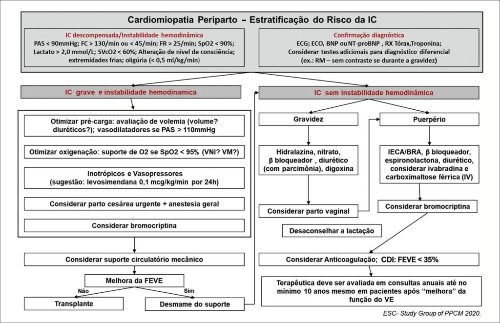 Figura 5
