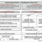 Figura 5