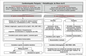 Figura 5