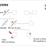 Figura 3