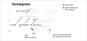 Figura 3