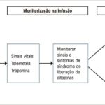 Figura 2