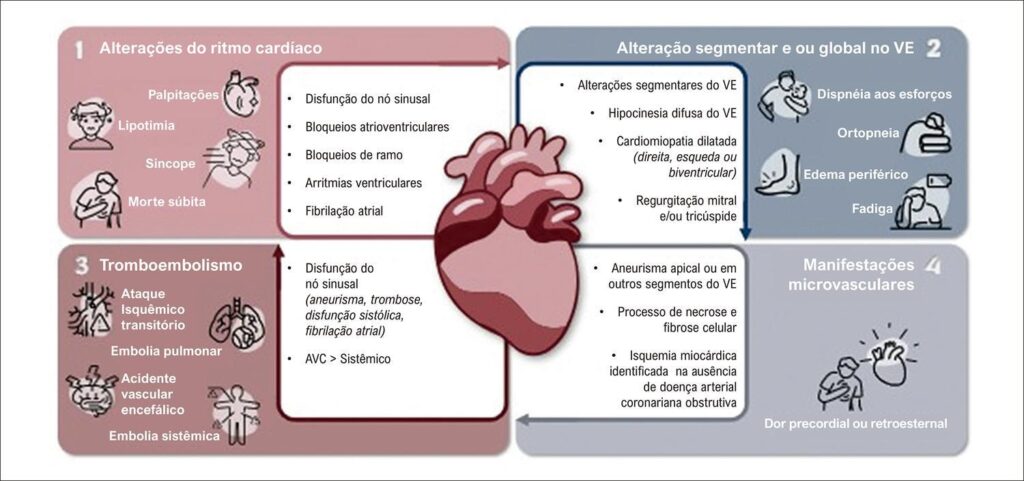 Figura 2