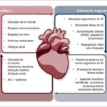 Figura 2