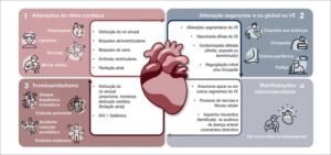 Figura 2