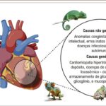 Figura 1