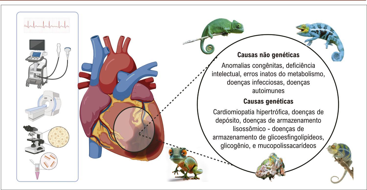 Figura 1