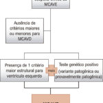 Figura 2