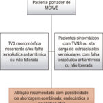 Figura 6