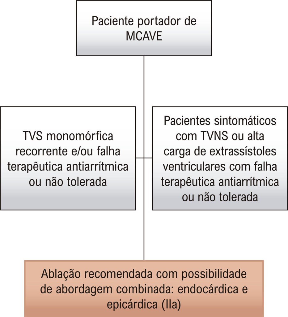 Figura 6