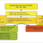Figura 1