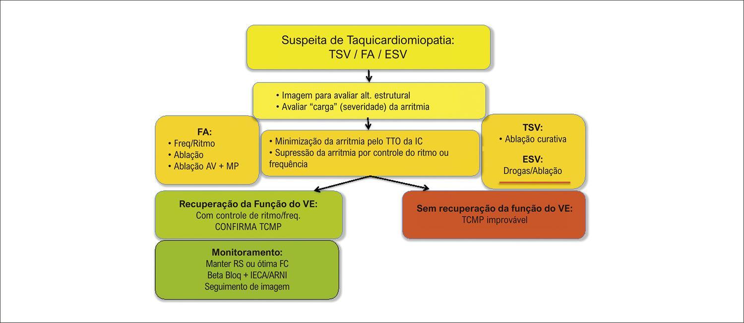 Figura 1