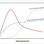 Figura 2