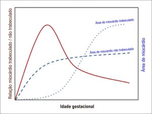 Figura 2