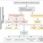 Figura 1