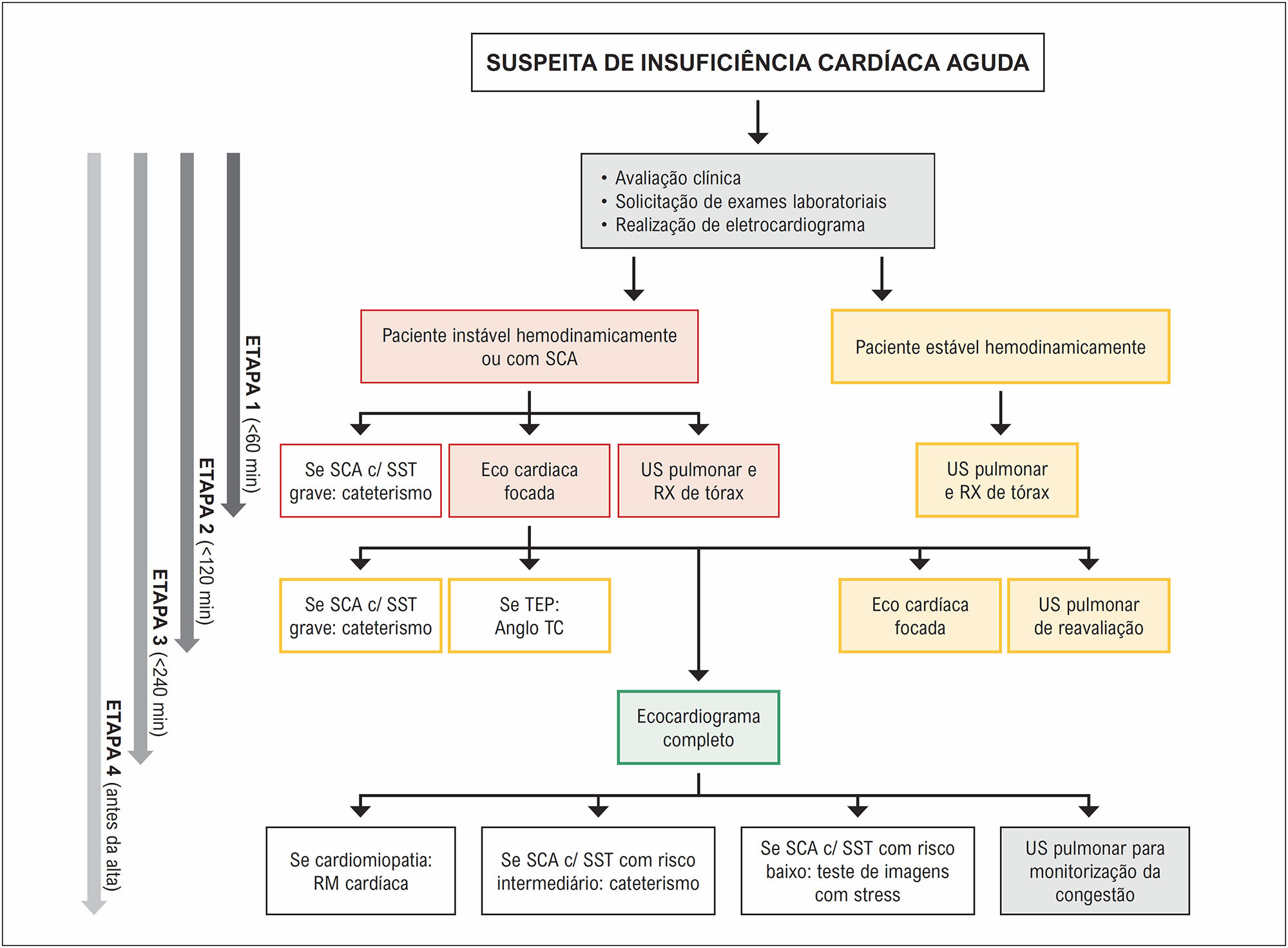 Figura 1