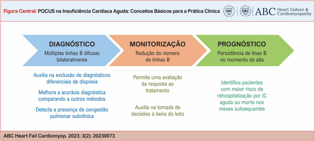 Imagem 6 da galeria