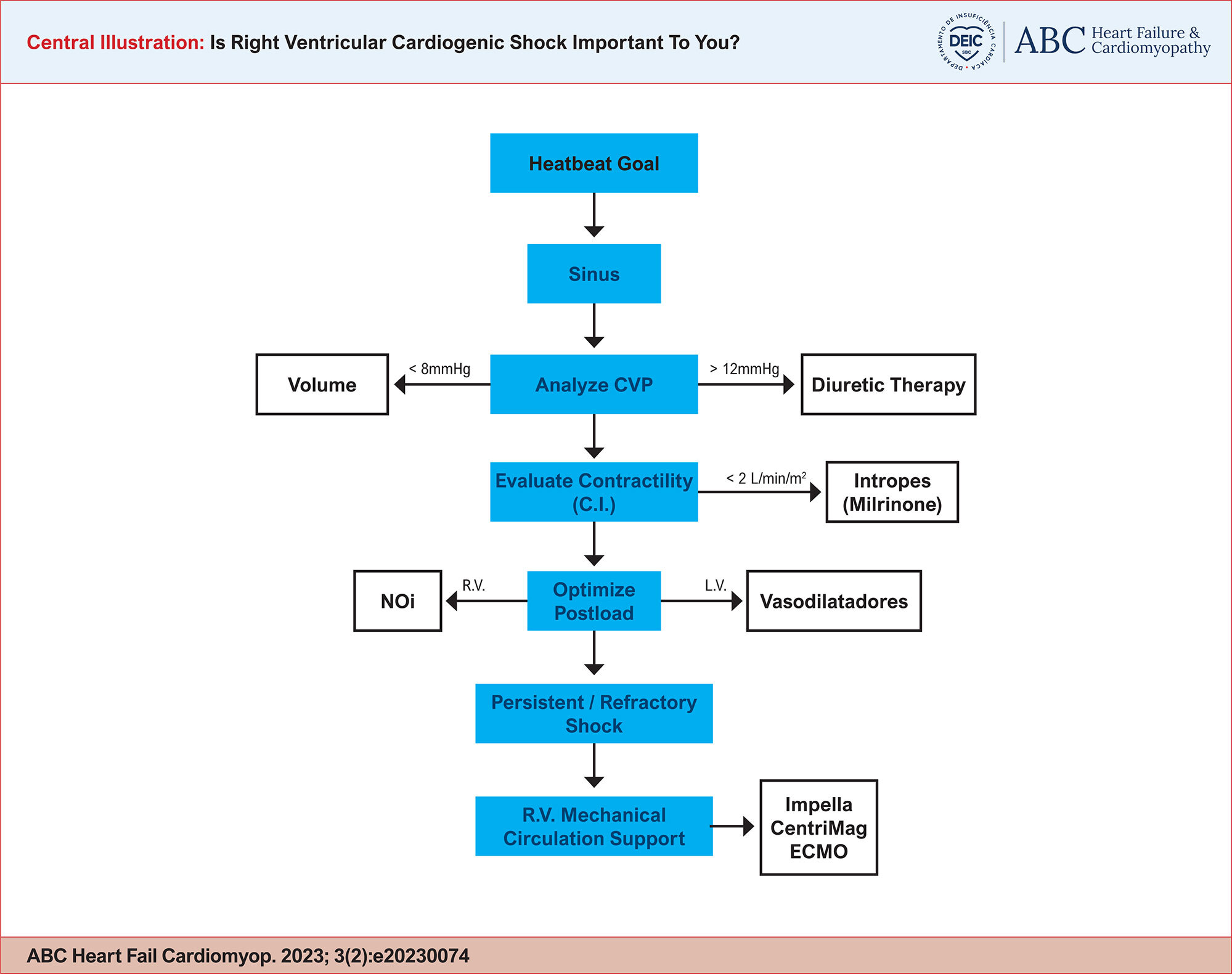 Is Right Ventricular Cardiogenic Shock Important To You?