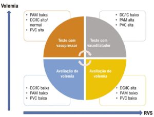 Figura 1
