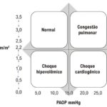 Figura 2
